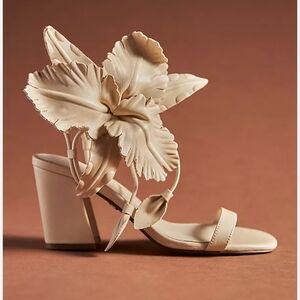 Cecilia New York Shoes